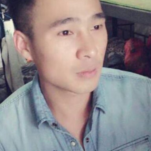 小蜜蜂苦恋浮生的照片