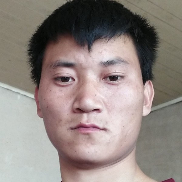 羽毛说迷茫的照片