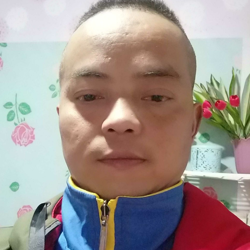 幸福停止小刺猬的照片