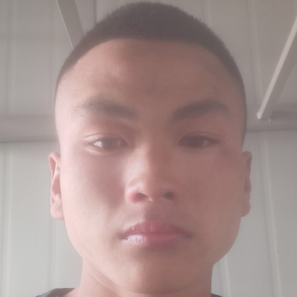 寒冷吃醋玫瑰的照片