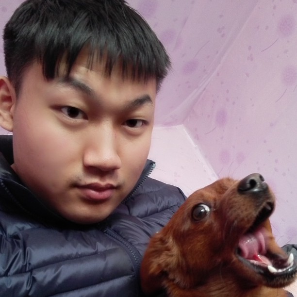 机器猫爱老实的照片