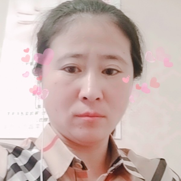 阳光下的刺猬的照片