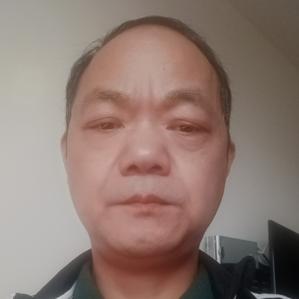 小懒猪演变调皮的照片