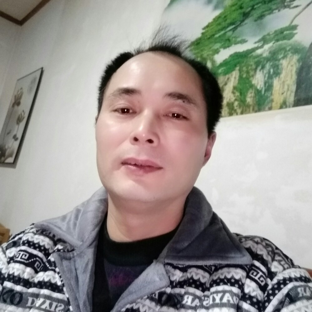 斑马无限的照片