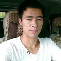 活泼纸鹤的照片
