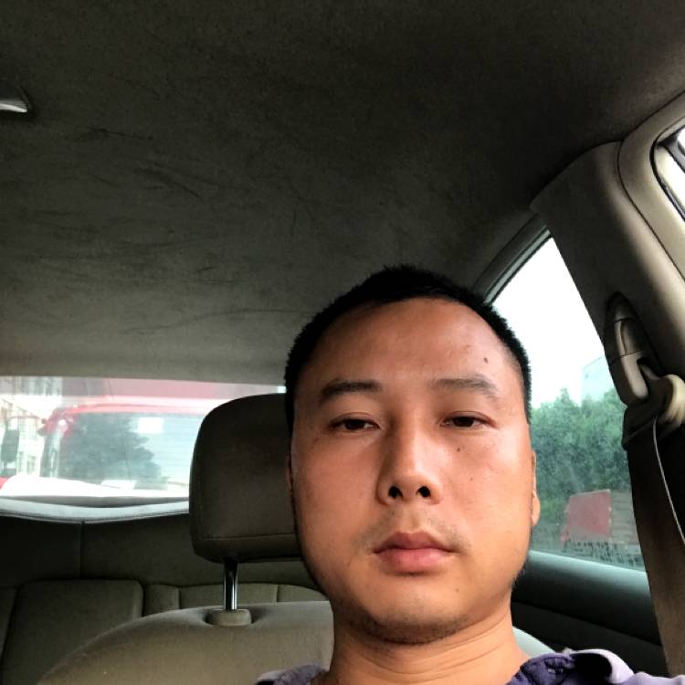 oO胡杨Oo的照片
