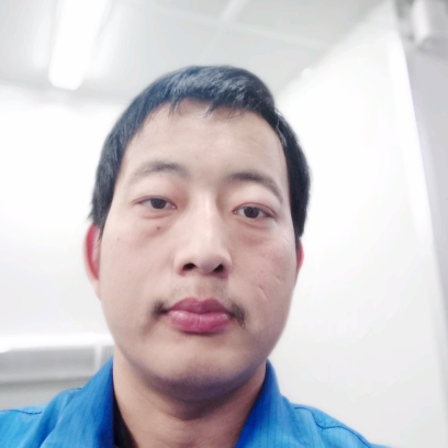 紧张森槿的照片