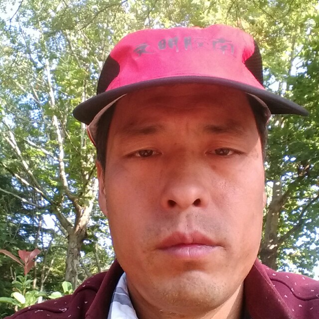 粗犷数据线的照片