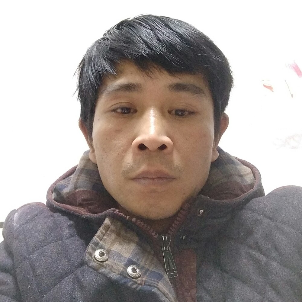 健忘黄蜂的照片