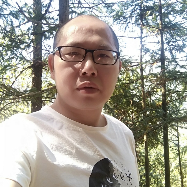 无可取代的重要的照片