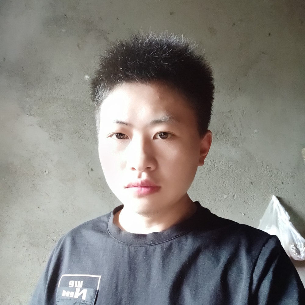 小刺猬漫步单纯的照片