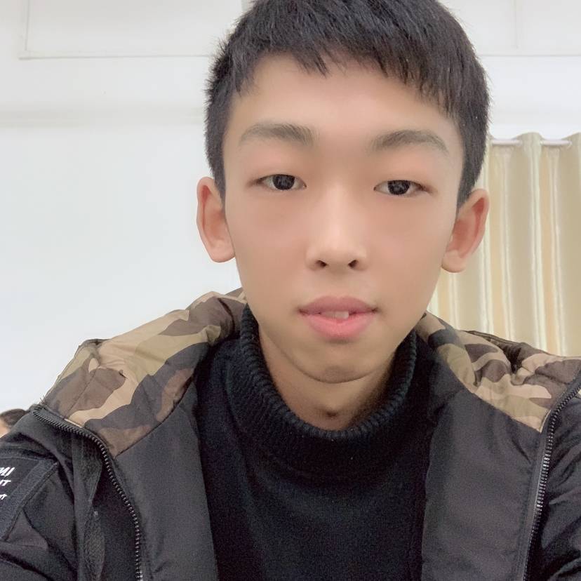 壹只流浪猫的照片