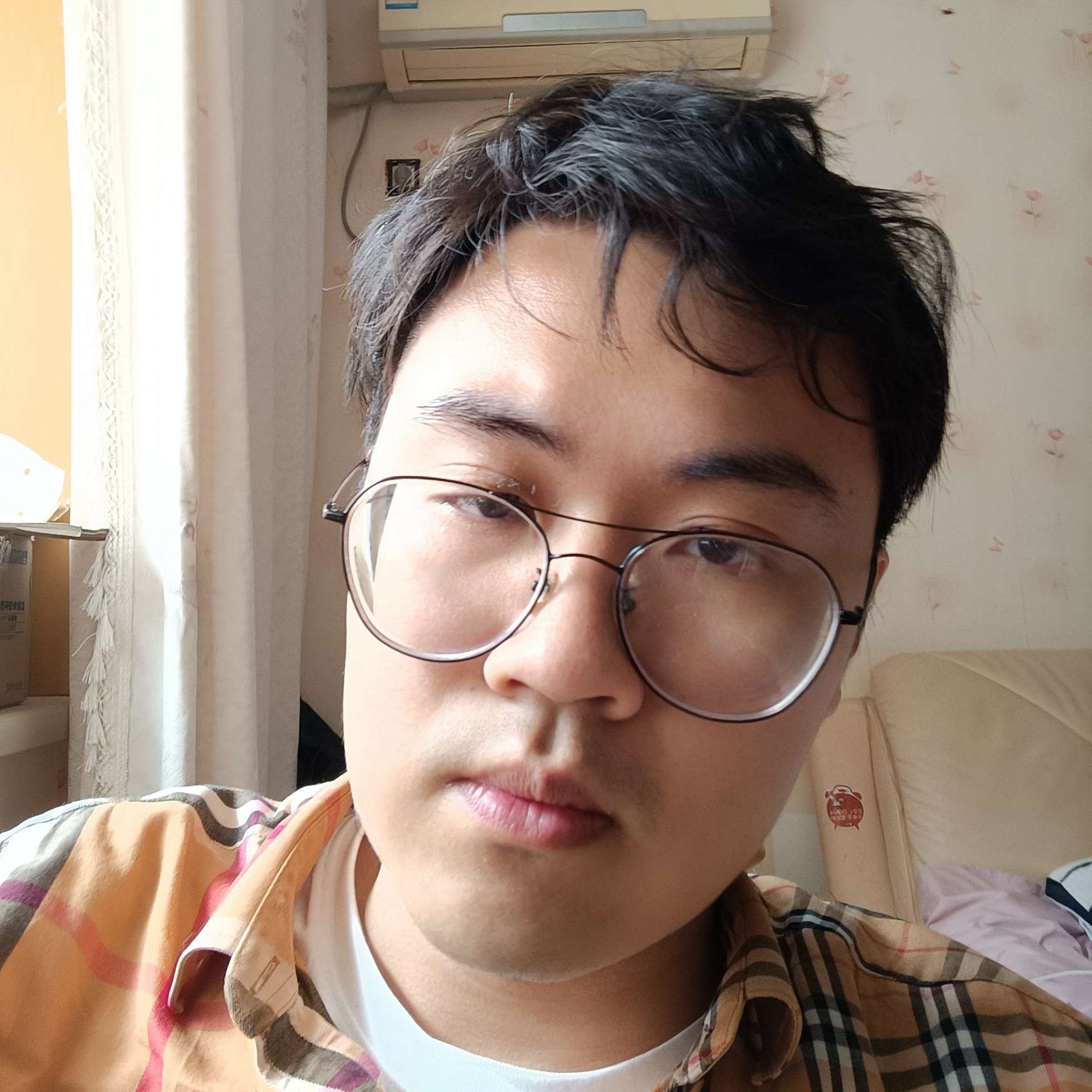 刺猬蹙眉拼搏的照片
