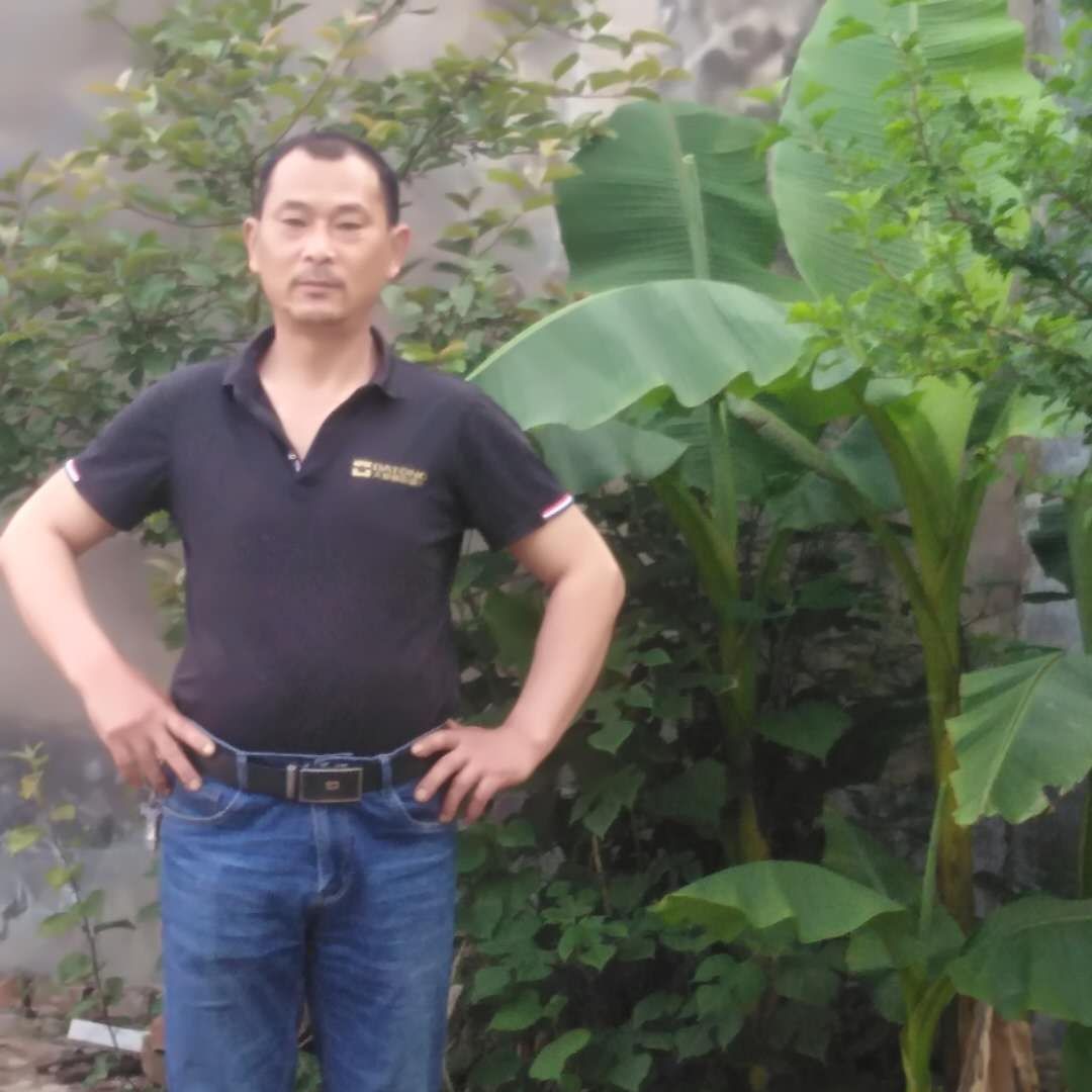 果汁淡淡285的照片