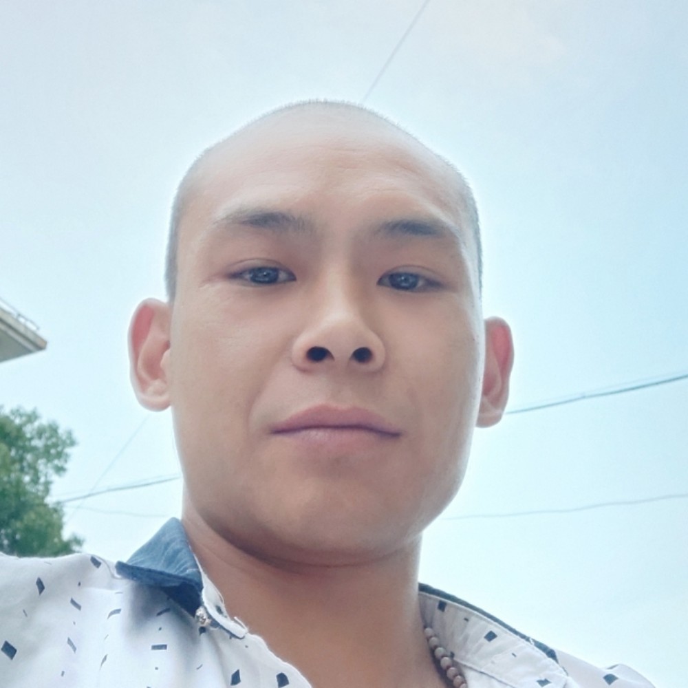 海燕蹁跹温柔的照片