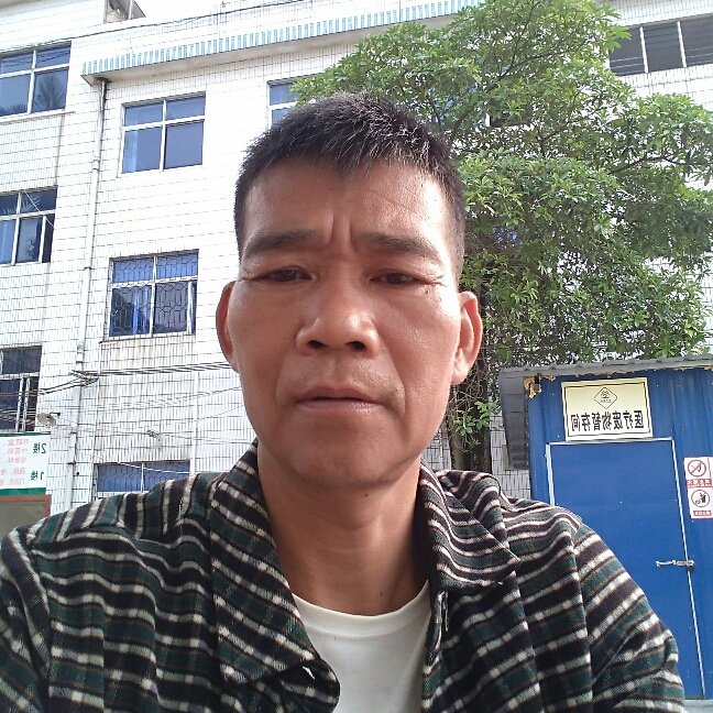 小甜瓜朴素的照片