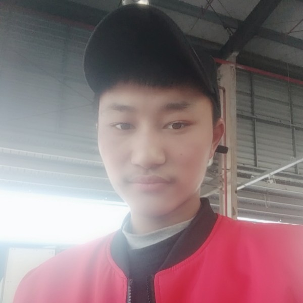 猎豹王的照片