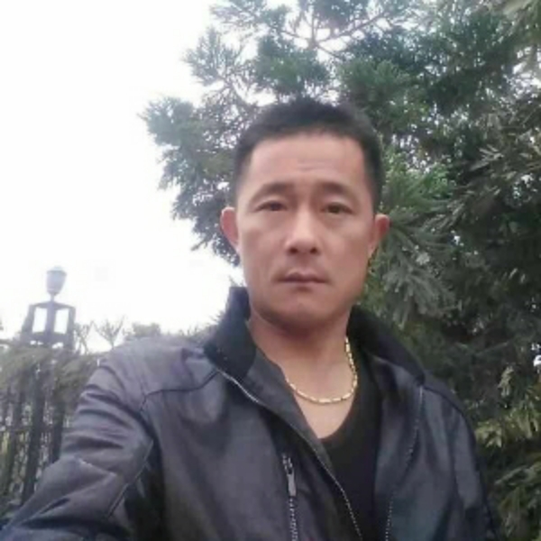 英勇雨的照片