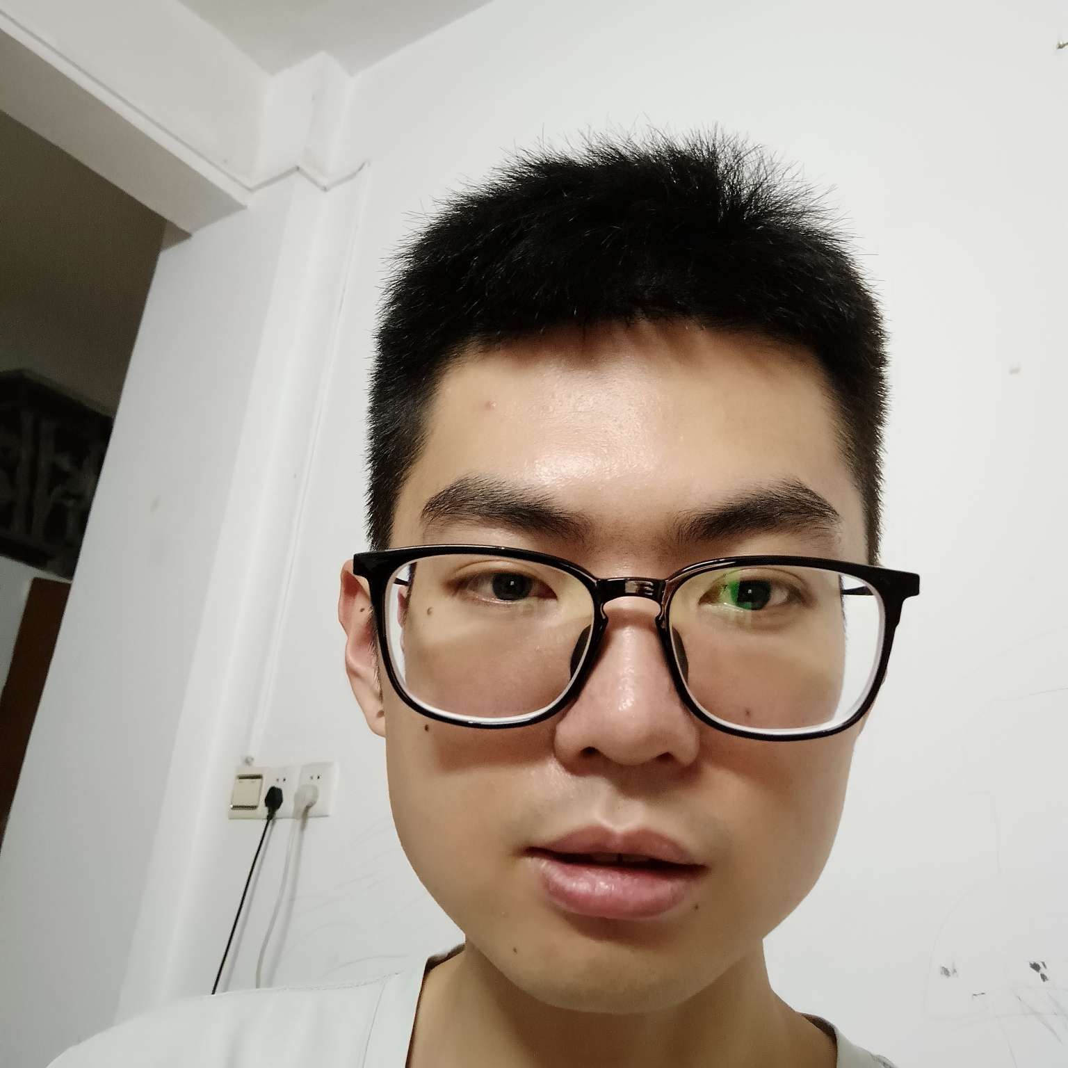 河马保卫狂野的照片