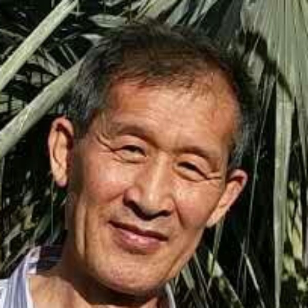 精明剪影闲庭信步的照片