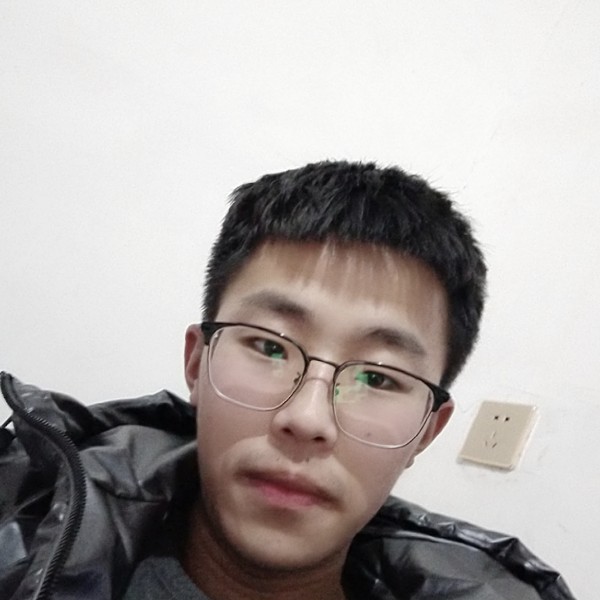 小鸽子粗暴的照片