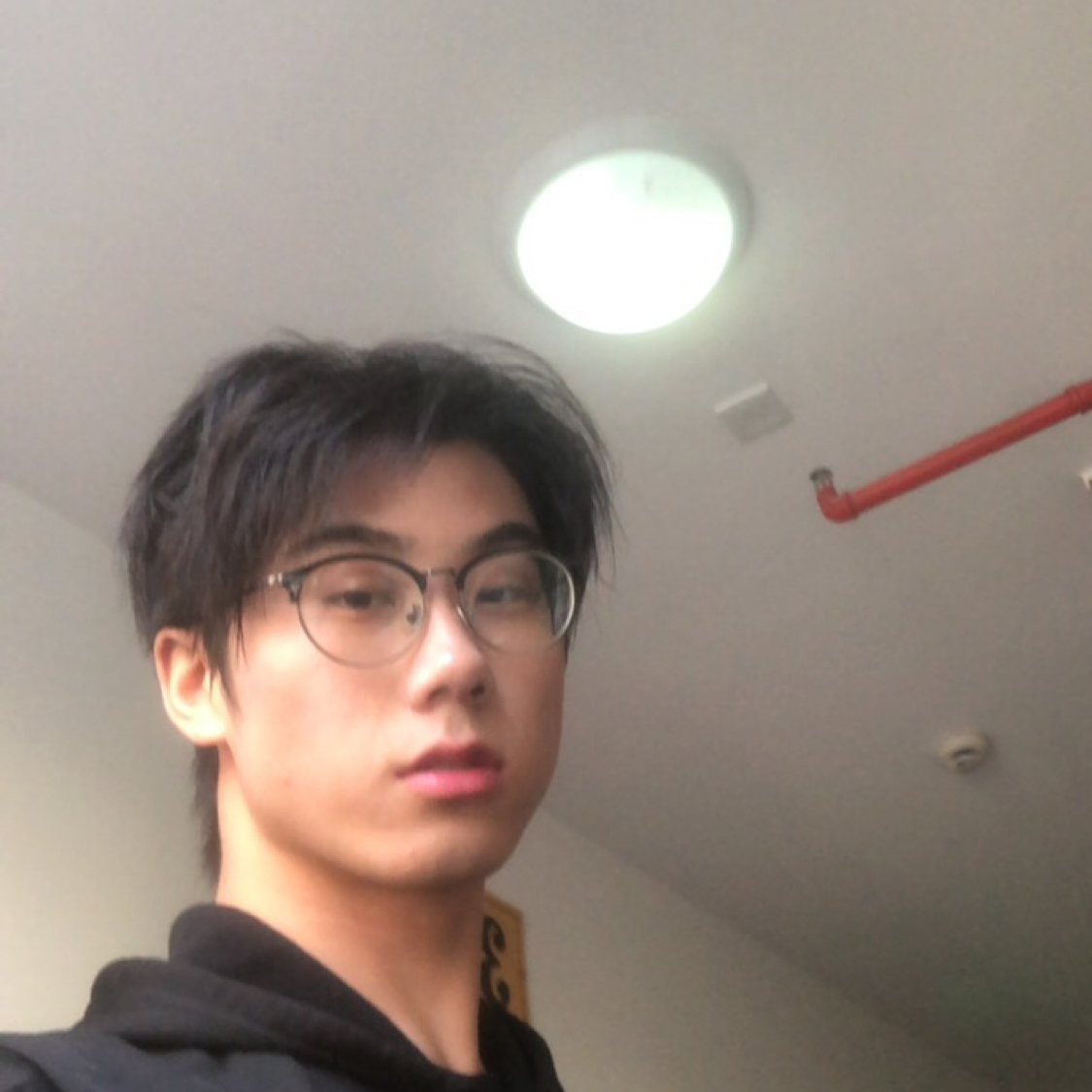 成就回首香菇的照片