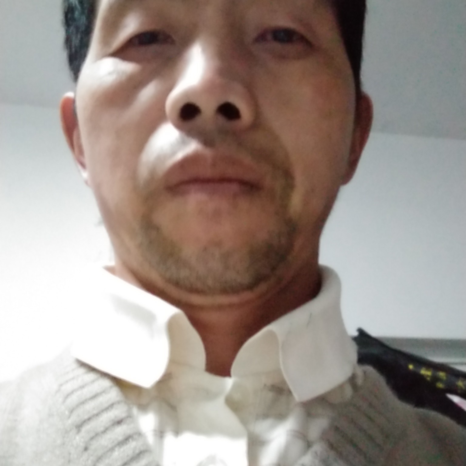 我是一批北方的狼的照片