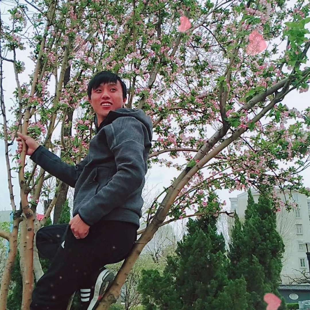轩辕拿老实的照片