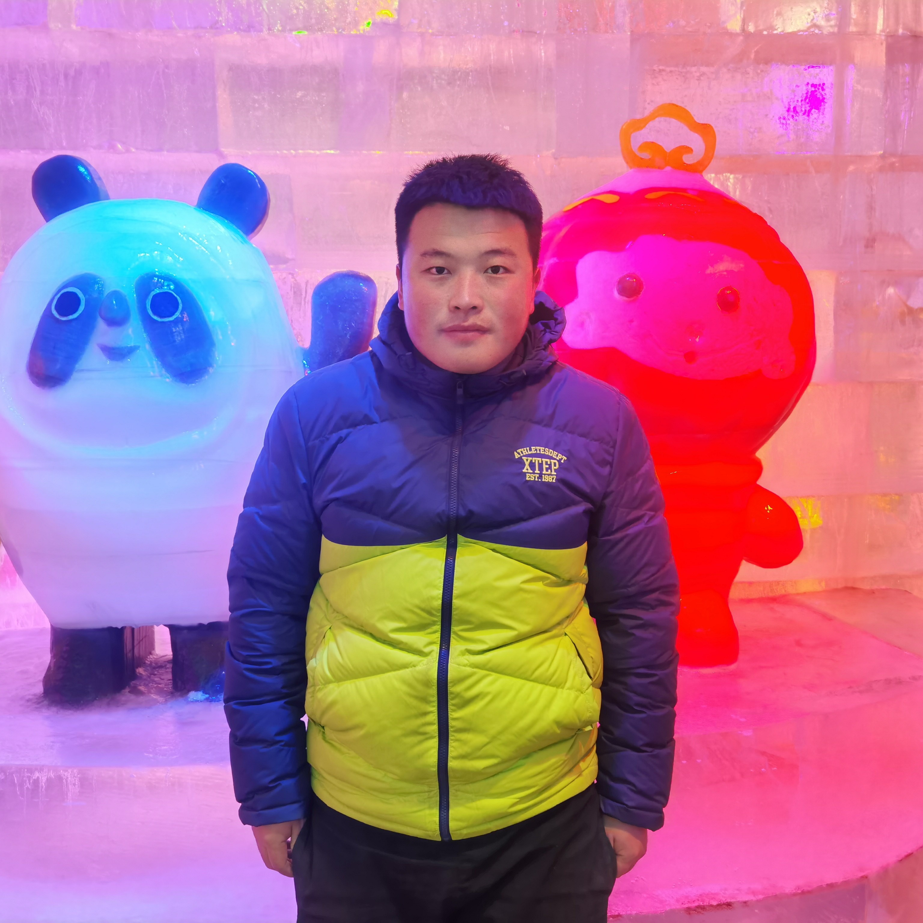 威武牛牛的照片