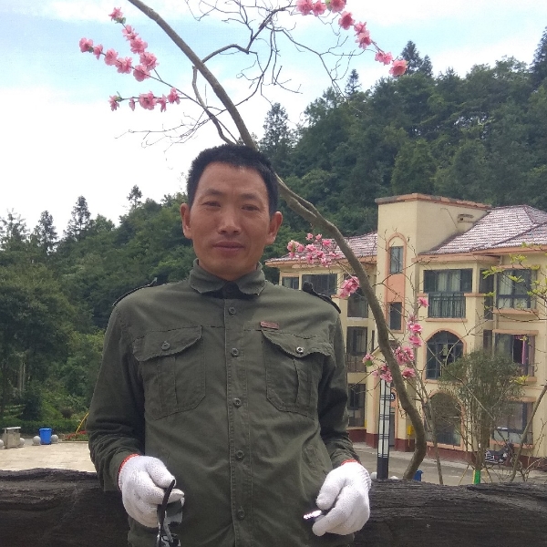我心如佛的照片