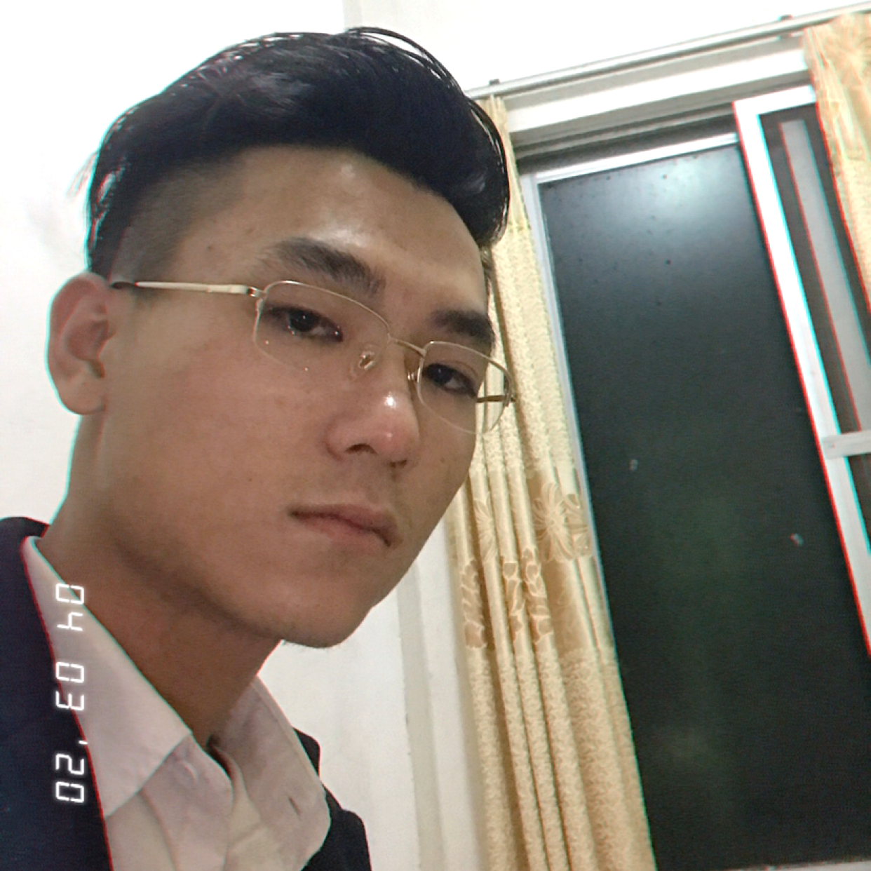 向日葵的照片