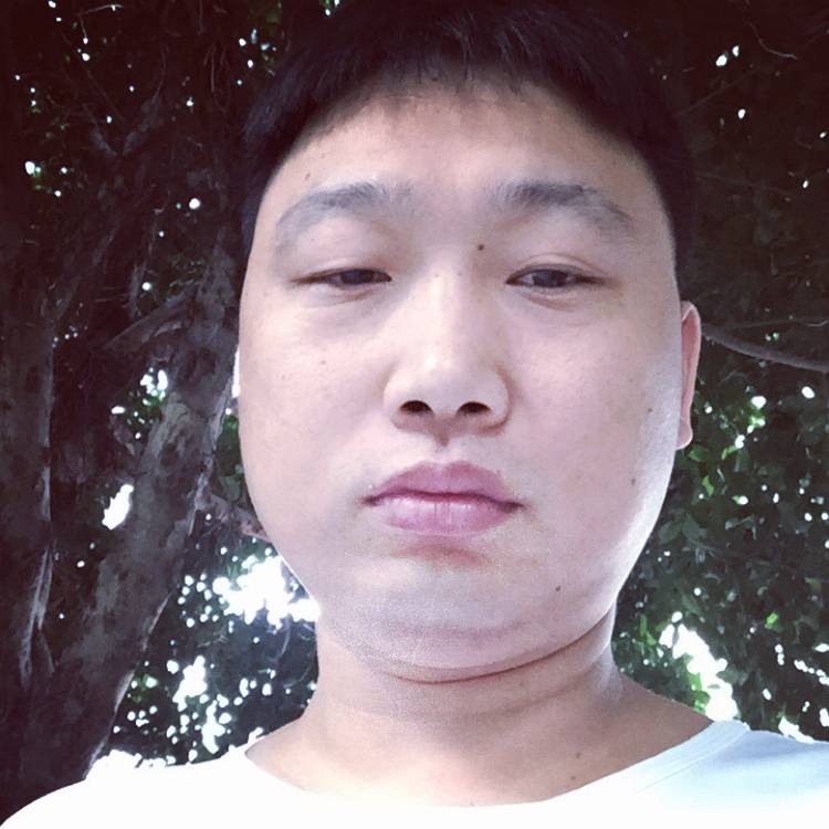 动人苦恋汽车的照片