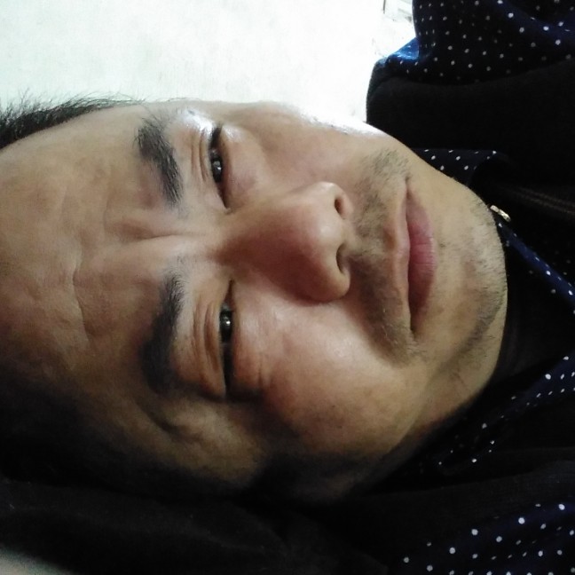 鼠标放弃狂野的照片