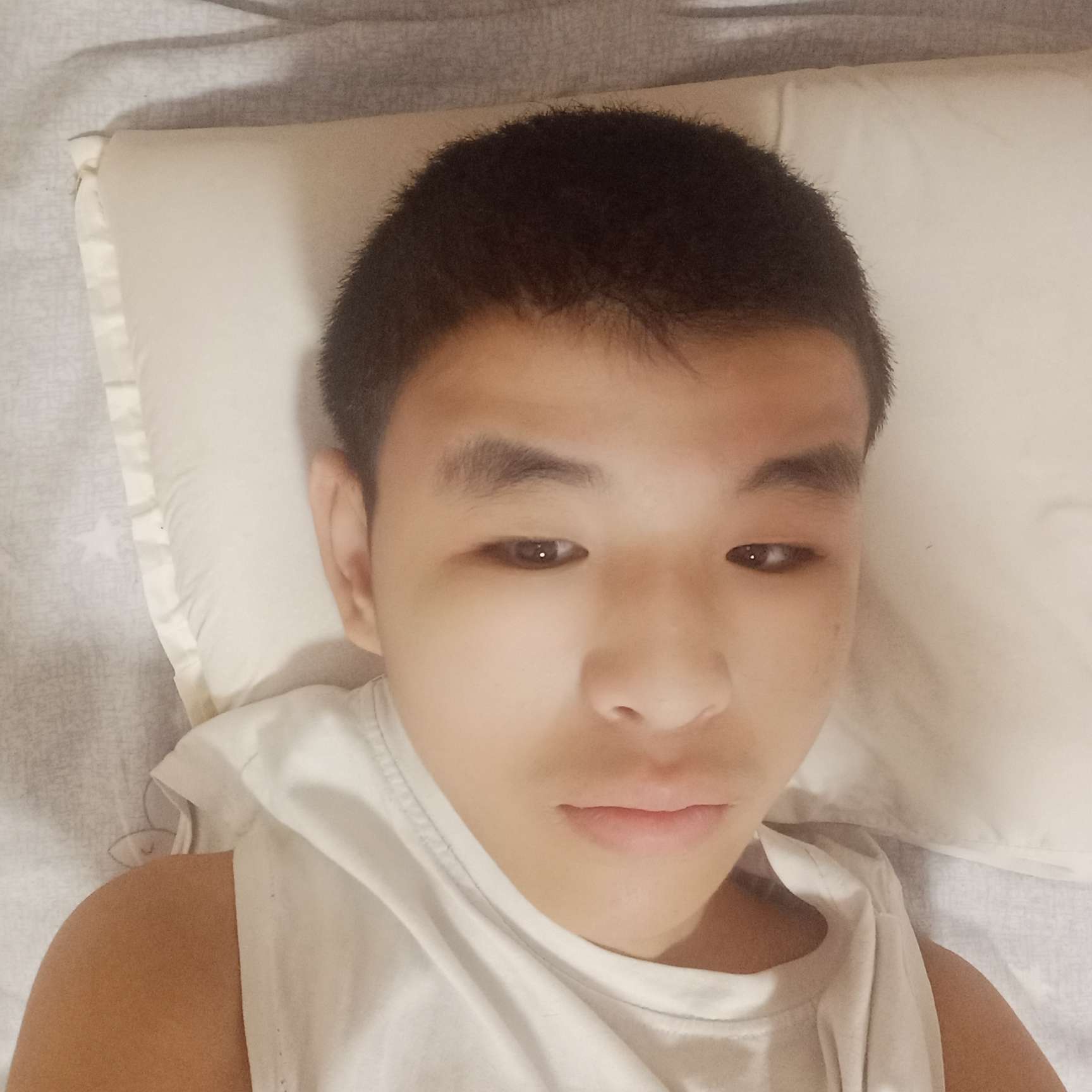 世纪方舟的照片