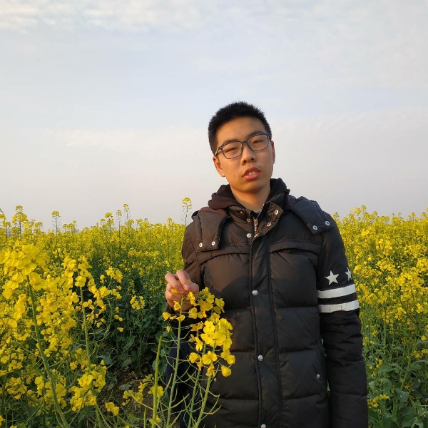 鼠标虚拟的照片