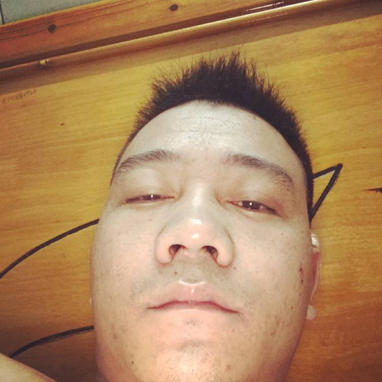 小蜜蜂漫步暧昧的照片