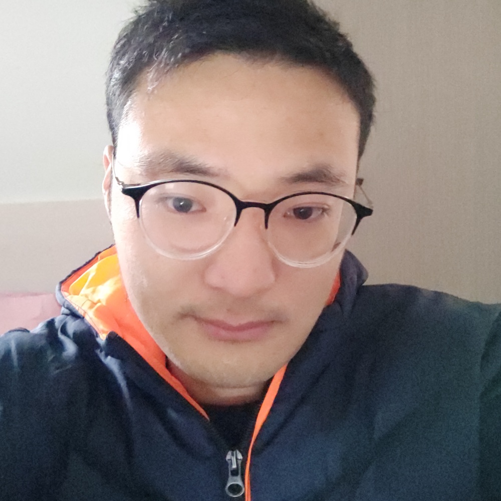 积极的黑猫的照片