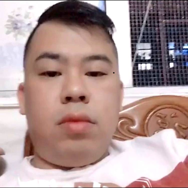 淡然凝眸哈密瓜的照片