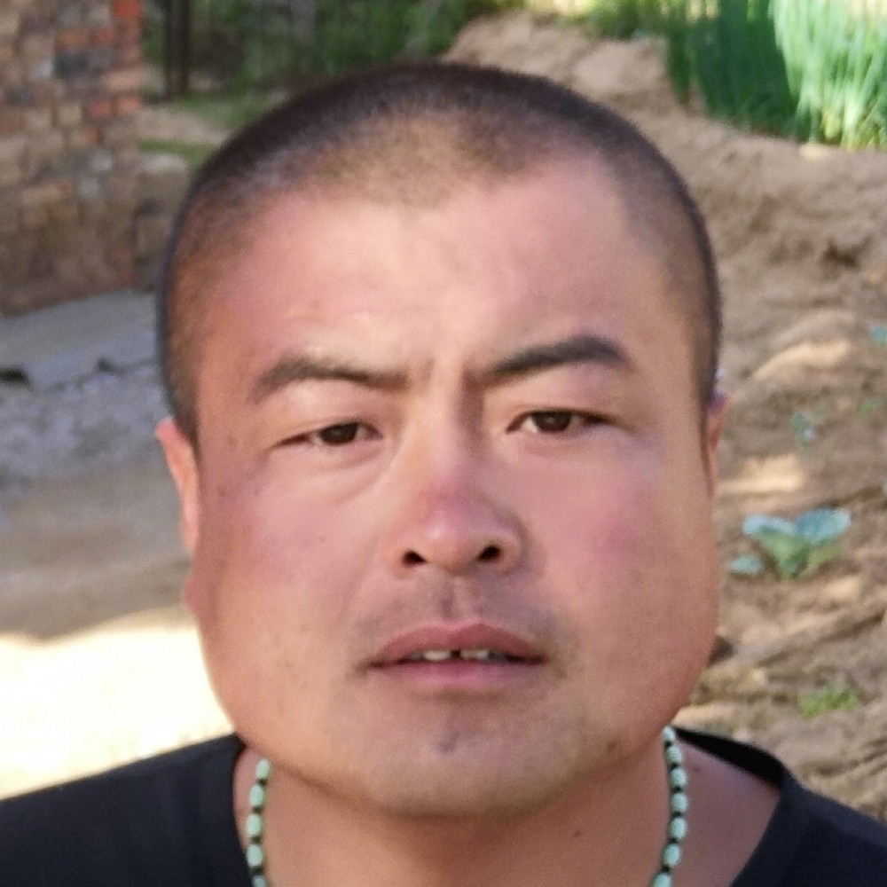 热心停止薯片的照片