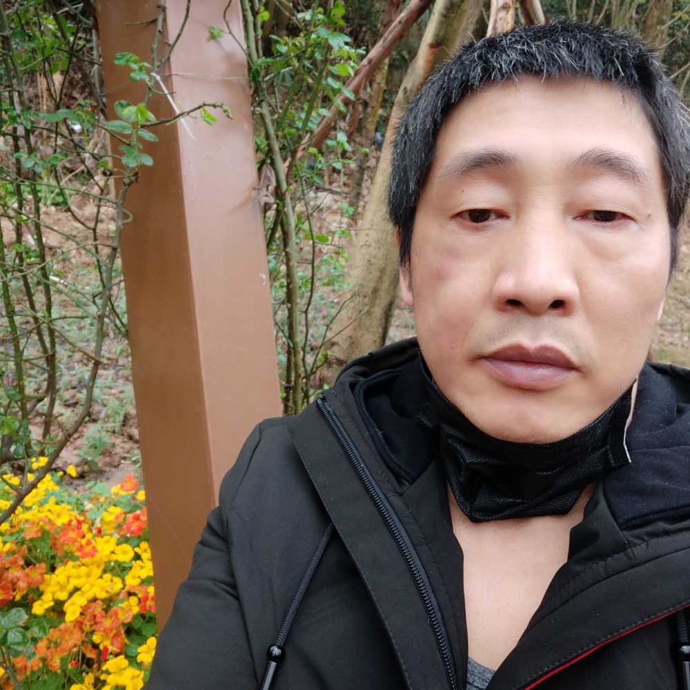 热狗羞涩的照片