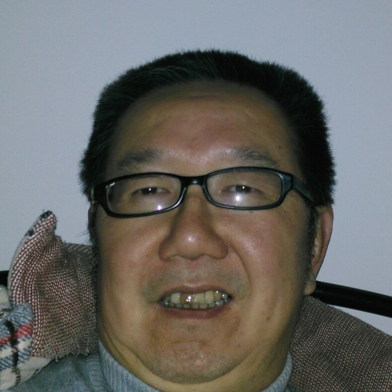 缠绵斑马的照片