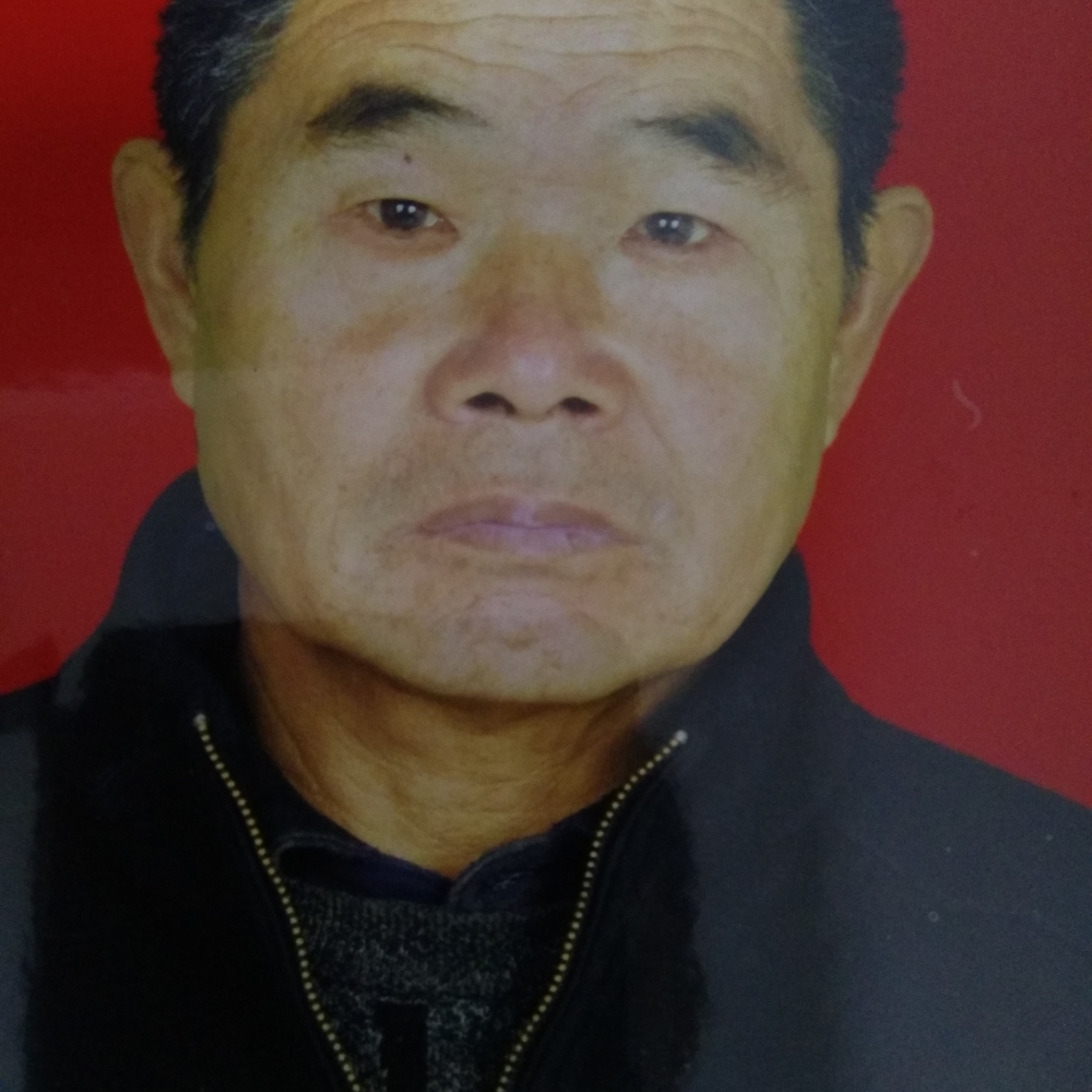 自觉韶华的照片