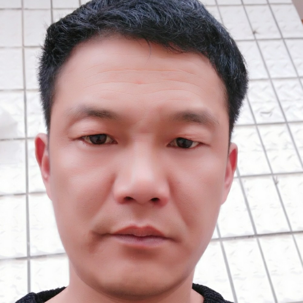 河马矮小的照片
