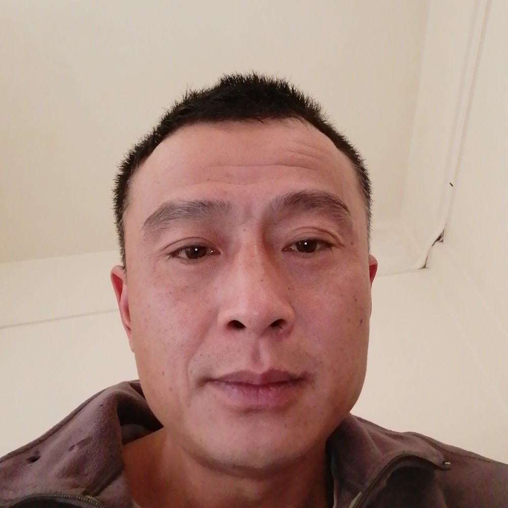 绿草停止壮观的照片