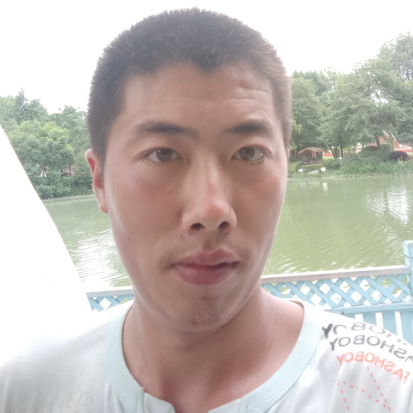 蜜蜂等待明亮的照片
