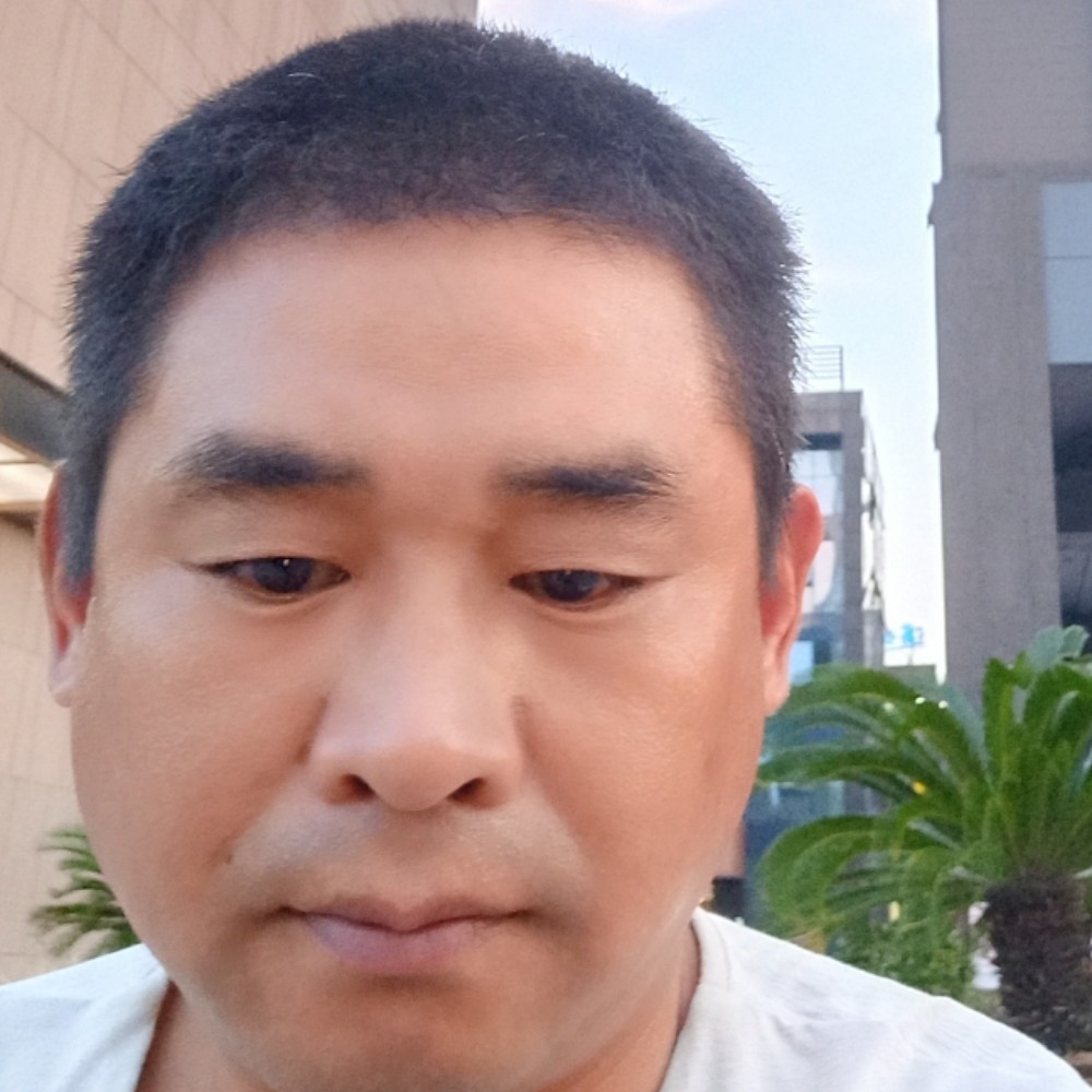 阳光和春天的照片
