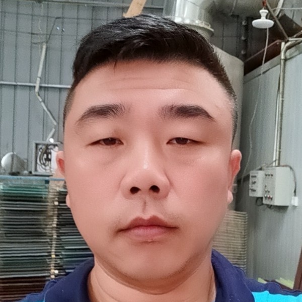 小海豚醉熏的照片