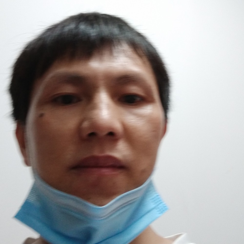 深圳似海的照片
