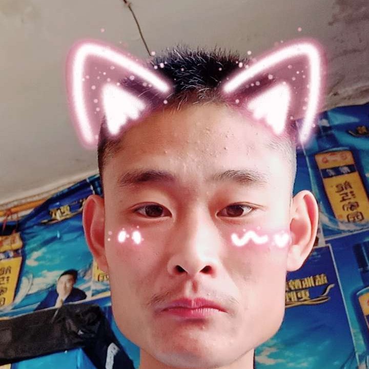 自然有绿草的照片
