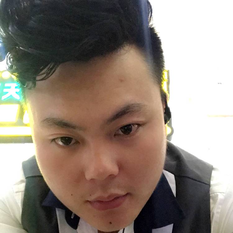 单身说大象的照片